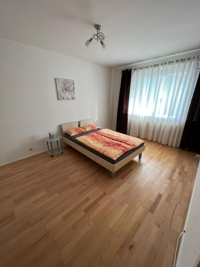 Sehr Gemutliche Wohnung Баден Екстер'єр фото
